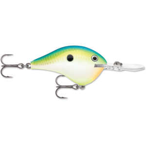 Rapala DT 8 Crankbait Citrus Shad