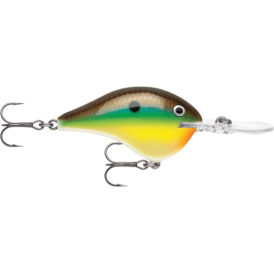 Rapala DT 16 Crankbait Bream