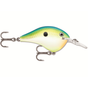 Rapala DT 6 Crankbait Citrus Shad