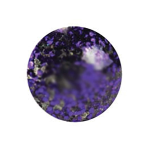 Do-it Molds Pro-Tec Powder Lure Paint Purple Smoke 2 oz