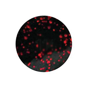 Do-it Molds Pro-Tec Powder Lure Paint Black Neon 2 oz