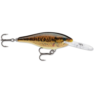 Rapala Shad Rap 07 Crankbait Live Smallmouth Bass