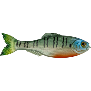 6th Sense Panorama 5" Jerkbait 4K Bluegill - 6Th Sense
