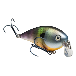 Strike King KVD Shallow Square Bill 1.5 Crankbait Neon Bluegill