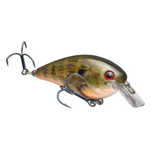 Strike King KVD Square Bill 1.5 Crankbait Natural Bream