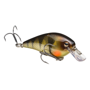 Strike King KVD Square Bill 1.0 Crankbait Yellow Perch