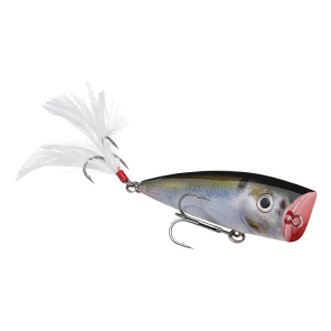 Strike King KVD Splash Topwater Natural Shad
