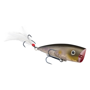 Strike King KVD Splash Topwater Clearwater Minnow