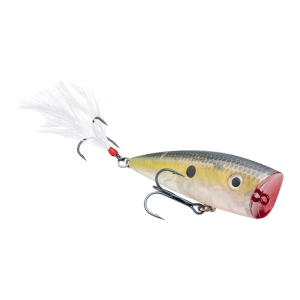 Strike King KVD Splash Topwater Clear Ghost Sexy Shad