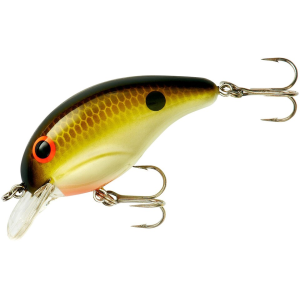 Bandit 100 Series Square Bill Crankbait Tennessee Shad