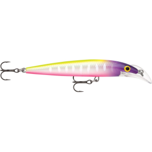 Rapala Scatter Rap Deep Husky Jerk 10 Jerkbait Moldy Fruit