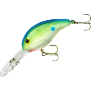 Bandit 300 Series Crankbait Citrus Shad