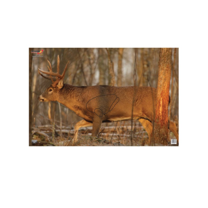 Birchwood Casey EZE-Scorer Deer Target 23" x 35" 2PK