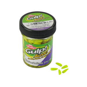 Berkley Gulp! Alive! Waxies Chartreuse 2 oz
