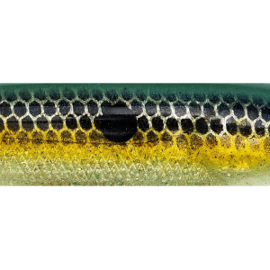 Strike King KVD Perfect Plastics KVD Swim'n Caffeine Shad 4" Swimbait Sexy Shad 2.0