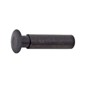 Ruger Takedown Pin LCP