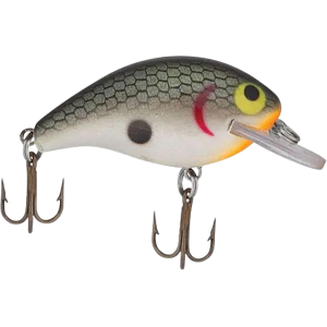 Rebel Super Teeny Wee R Crankbait Tennessee Shad