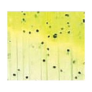 Do-it Molds Silicone Skirt Tabs White w/Chartreuse Tips 10PK