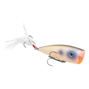Strike King KVD Splash Topwater Oyster