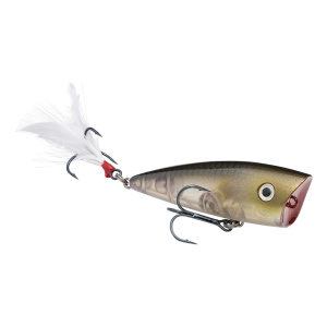 Strike King KVD Splash Jr. Topwater Clearwater Minnow
