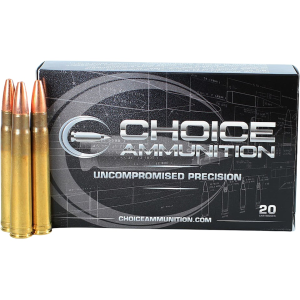Choice 375 H&H Magnum Ammo 300 Grain Barnes Triple-Shock X Solid Hollow Point Box of 20 - Choice Ammunition