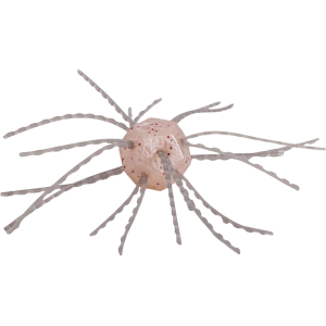 Strike King Tumbleweed Salted Dice Bait White Sauce