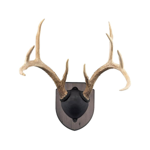 Foggy Bottom Woodworks Antler Mounting Kit Rustic Pine
