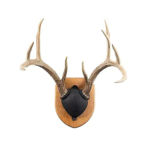 Foggy Bottom Woodworks Antler Mounting Kit Cherry