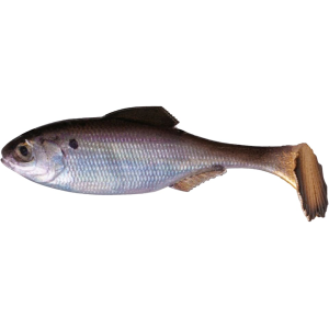 6th Sense Masterclass Panorama Swimbait 6" Swimbait Live Gizzard Shad - 6Th Sense