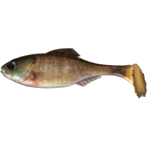 6th Sense Masterclass Panorama Swimbait 3.5" Swimbait Live Bluegill - 6Th Sense