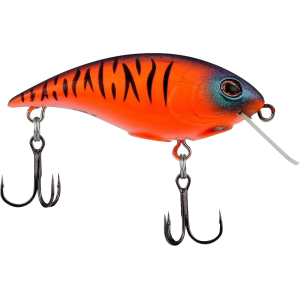 Berkley Shallow Money Badger 2.6" 1/2 oz Crankbait Blaze
