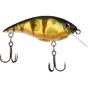 Berkley Shallow Money Badger 2.6" 1/2 oz Crankbait Perch
