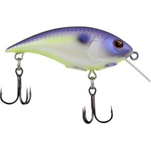 Berkley Shallow Money Badger 2.1" 1/4 oz Crankbait Purple Glimmer