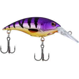 Berkley Money Badger 2.75" 5/8 oz Crankbait Viking Perch