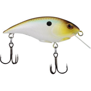 Berkley Shallow Money Badger 1.5" 3/16 oz Crankbait Tennessee Shad