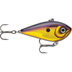 Rapala Snare 50 Lipless Crankbait Royal Gold