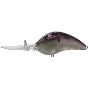 Bill Lewis DR 24 Crankbait Gizz Rizz
