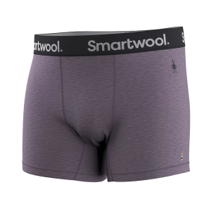 Smartwool Men's Active Boxer Briefs Purple Storm Heather Medium