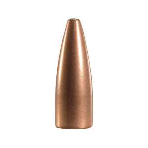 Speer Gold Dot Rifle 303 Caliber, 7.7mm Japanese, 7.62x39mm (310 Diameter) Bullets 123 Grain Bonded Jacketed Soft Point Box of 50