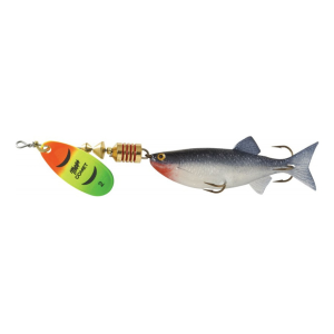 Mepps Comet Mino Inline Spinner 2 1/2" with Shad Mino Hot Firetiger Blade 1/4 oz