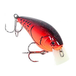 BassMooch Matt Reed Square Boss Square Bill Crankbait Spring Fling