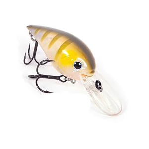 BassMooch Brian Snowden Boss Hawg Crankbait Clearwater Perch