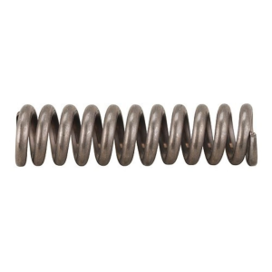 Ruger GP100, Super Redhawk 44 Remington Magnum Trigger Guard Latch Spring