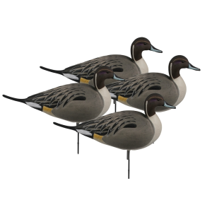 GHG Over-Size Active Pack Pintail Full Body Duck Decoy 4PK - Ghg