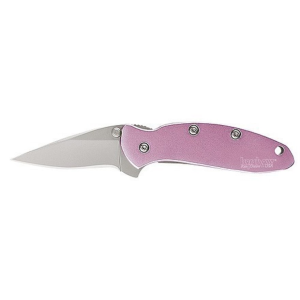 Kershaw Chive Assisted Opening Pocket Knife 1.938" Drop Point 420HC Stainless Steel Blade Stainless Steel Handle Pink