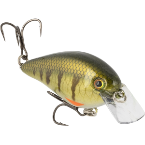 Strike King KVD Elite Square Bill 4.0 Crankbait Pro Phantom Perch