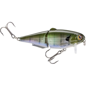 Strike King Wake Shad Topwater The Real Gill