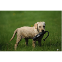 Avery 2" Canvas Bumper Dog Training Dummy Flasher