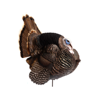 Dave Smith Decoys DSD Jake Strutter White Face Turkey Decoy