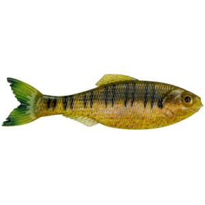 6th Sense Panorama Softbait 2.8" Live Sunfish
